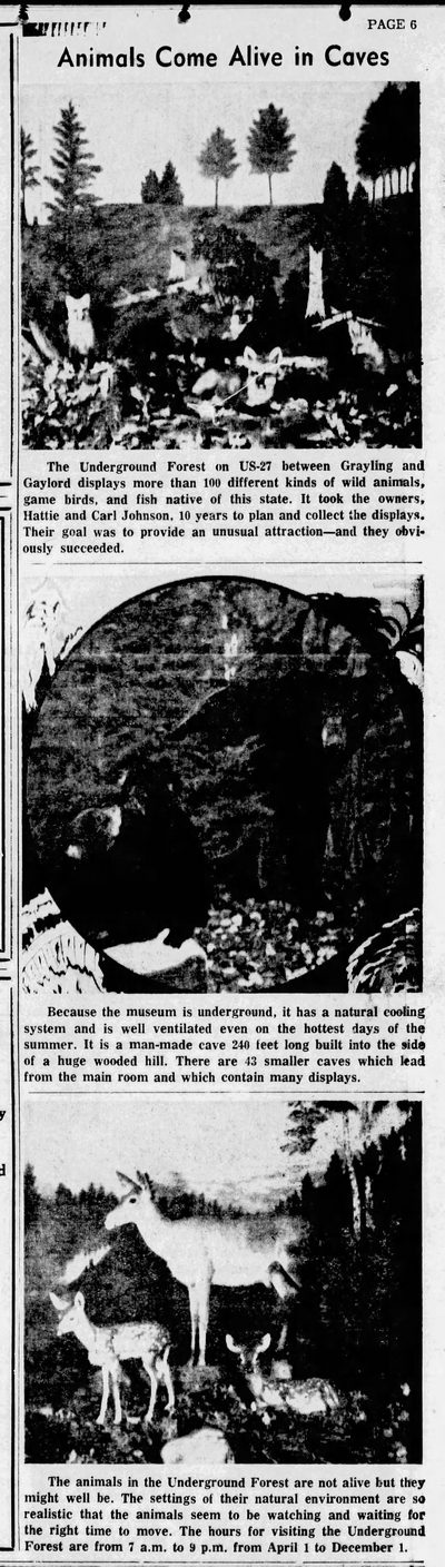 Underground Forest - Sept 1962 Promo Ad (newer photo)